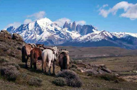 Cleopatra's Needles, Torres del Paine, Patagonia, Chile
