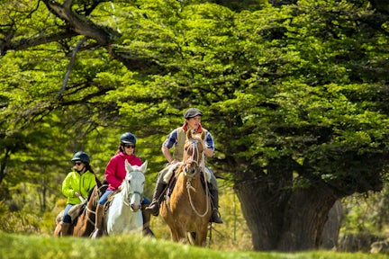 Estancia Tercera Barranca, Patagonia, Chile