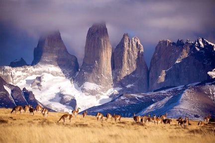 Loma Guanaco, Torres del Paine, Patagonia, Chile