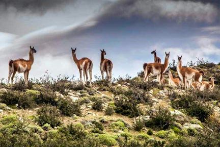 Nomad's Trail, Torres del Paine, Patagonia, Chile