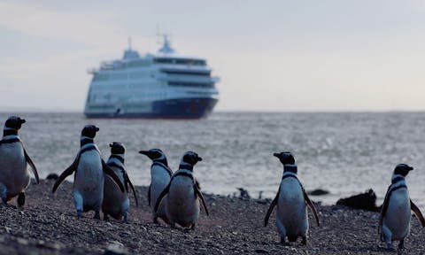 Wildlife Cruises