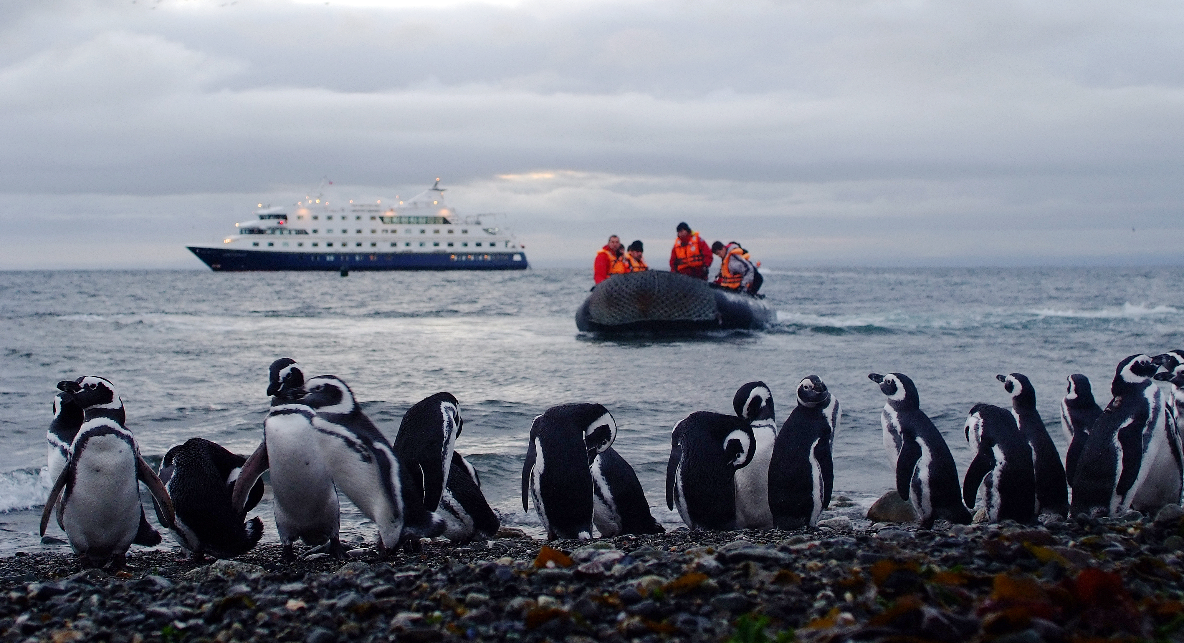 Adventure Cruises in Patagonia