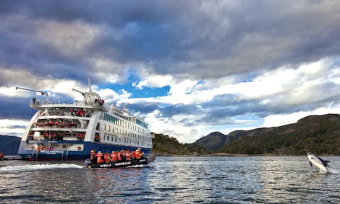 Adventure cruises in Tierra del Fuego