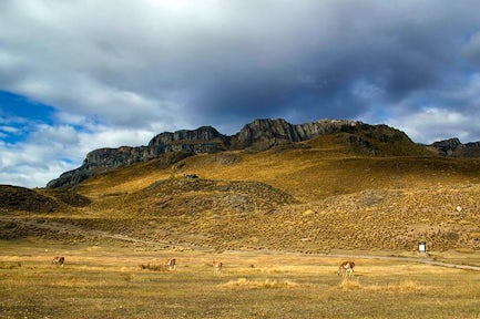 Cañadon Chacabuco hike, Patagonia National Park