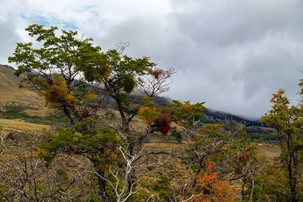 La Vega hike, Patagonia National Park