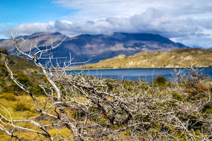 Lake Chico hike, Patagonia National Park