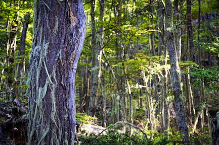 Los Gatos hike, Patagonia National Park
