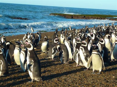 Patagonia: Earth's Secret Paradise