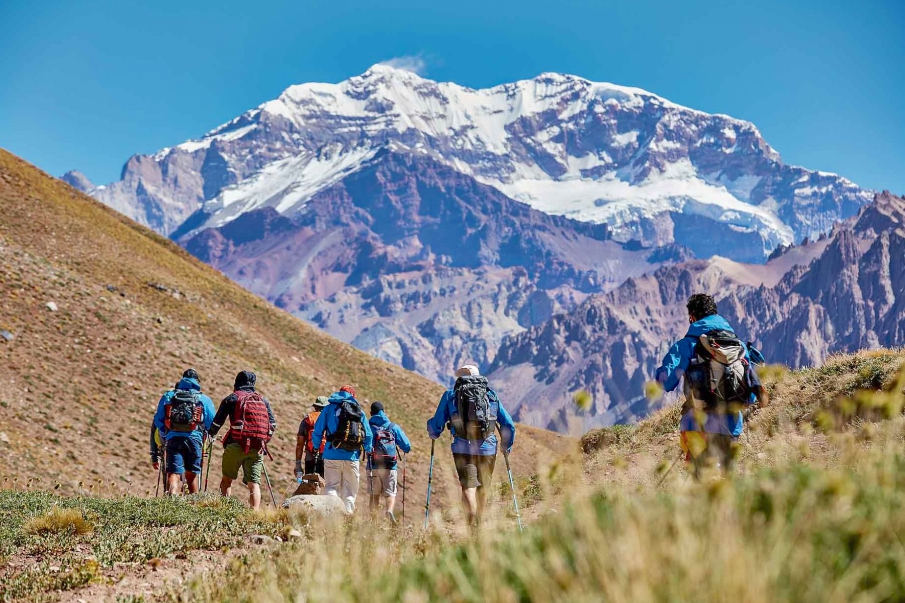 Best Time to Visit Patagonia | When to Visit Patagonia | Swoop Patagonia