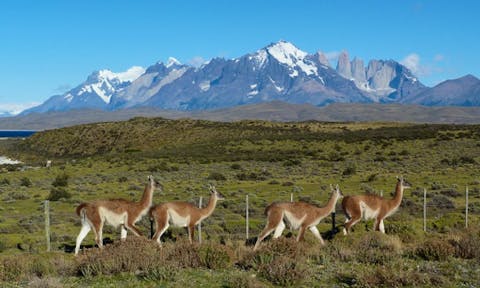 The Best of Chile & Argentina, 14 nights