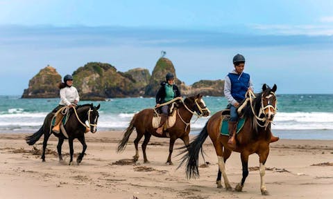 Mari Mari Hotel & Natural Reserve