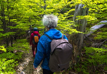 Along the interpretative trail, Torres del Paine, Patagonia