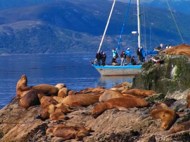 Ushuaia nautical-sailing