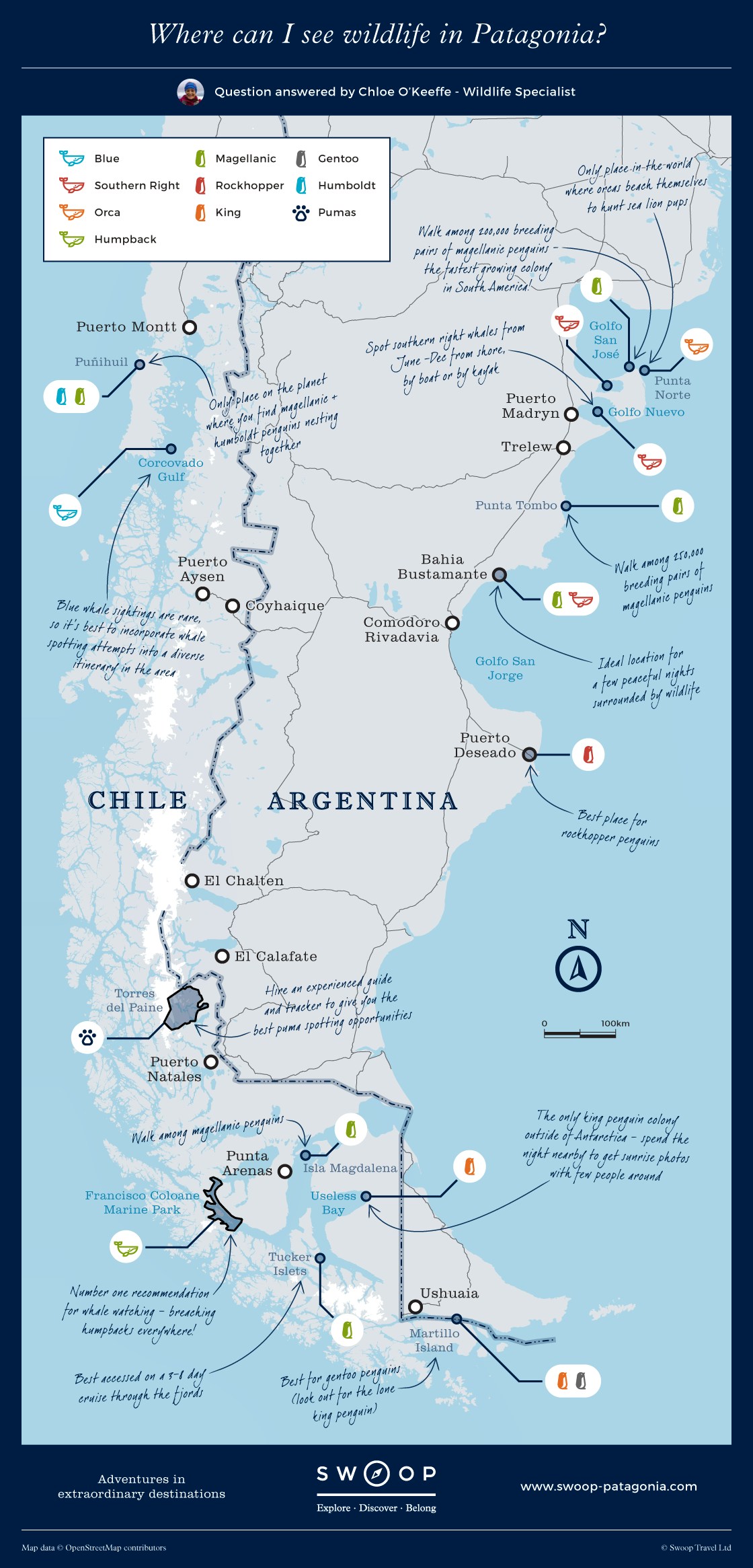 Patagonia Wildlife Tours Safaris Swoop Patagonia