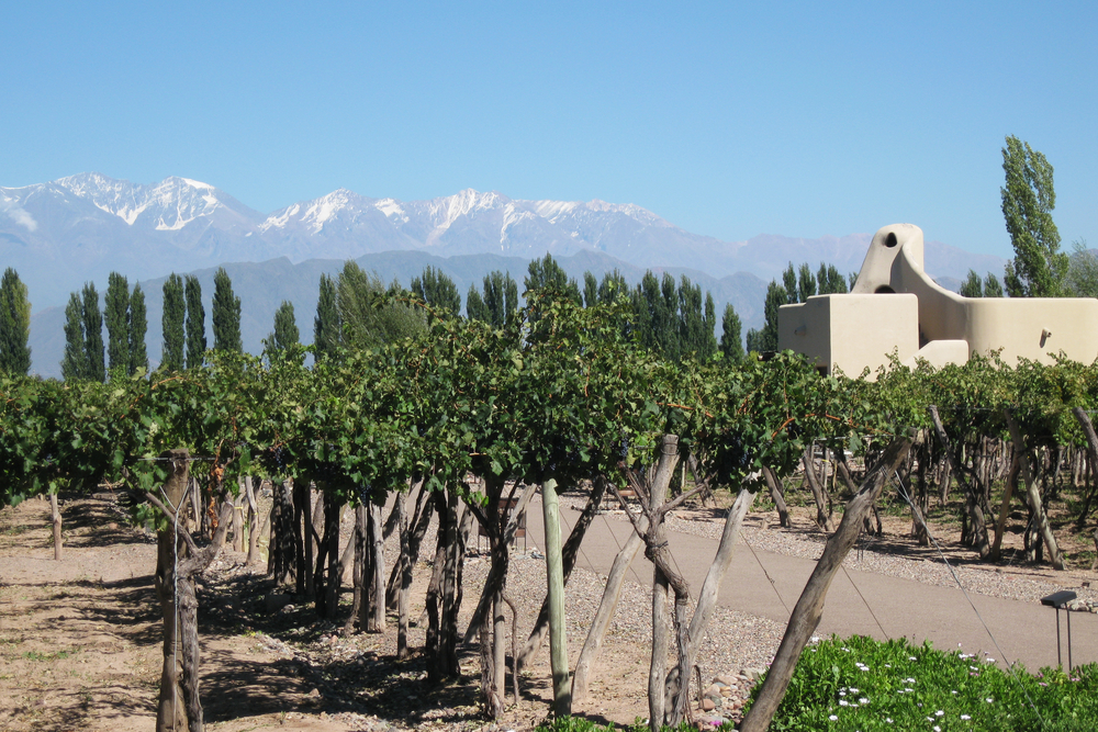 patagonia wine tours