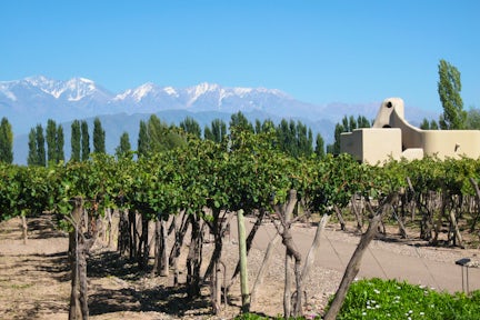Patagonia Wine Tours