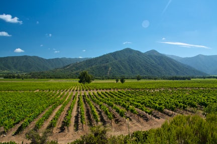 Patagonia Wine Tours