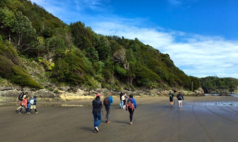 On the trek from Duahatao to Chepu, Chiloé