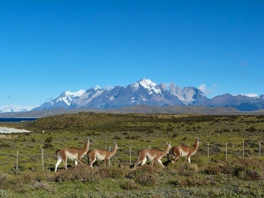 The Best of Chile & Argentina, 14 nights